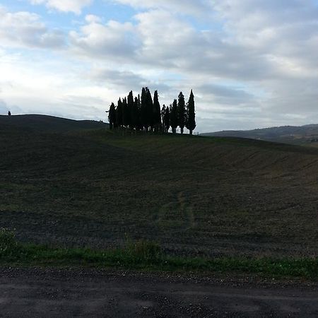 Passaggio In Val D' Orcia Daire Torrenieri Dış mekan fotoğraf